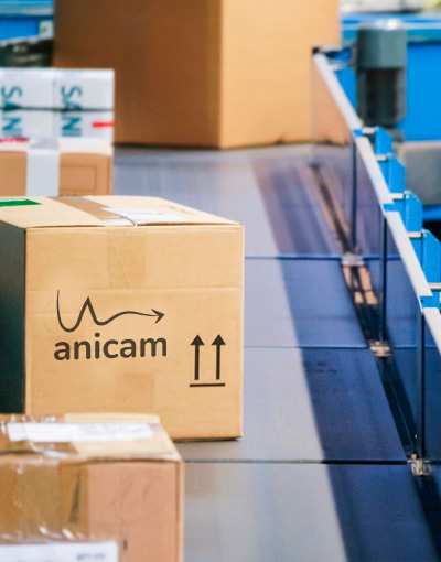 Who is Anicam?